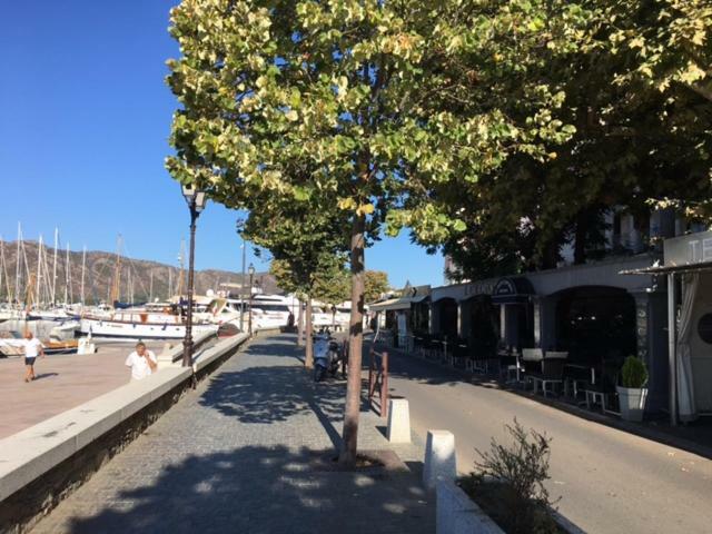 T3 La Salamandre Saint-Florent  Exterior foto